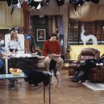 Friends - salon, rolety