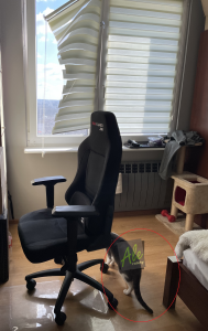 Uszkodzona roleta dzień noc