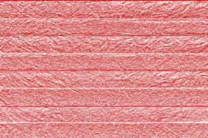 Plisa